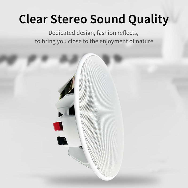 Głośnik sufitowy 6 cali 8 omów – Audio Music System For Home recenzja i cena