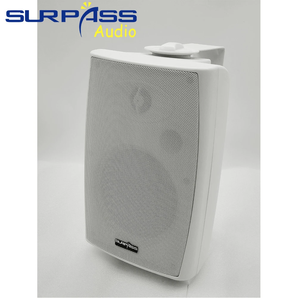 Głośnik ścienne do systemu PA, – Audio Music System For Home recenzja i cena